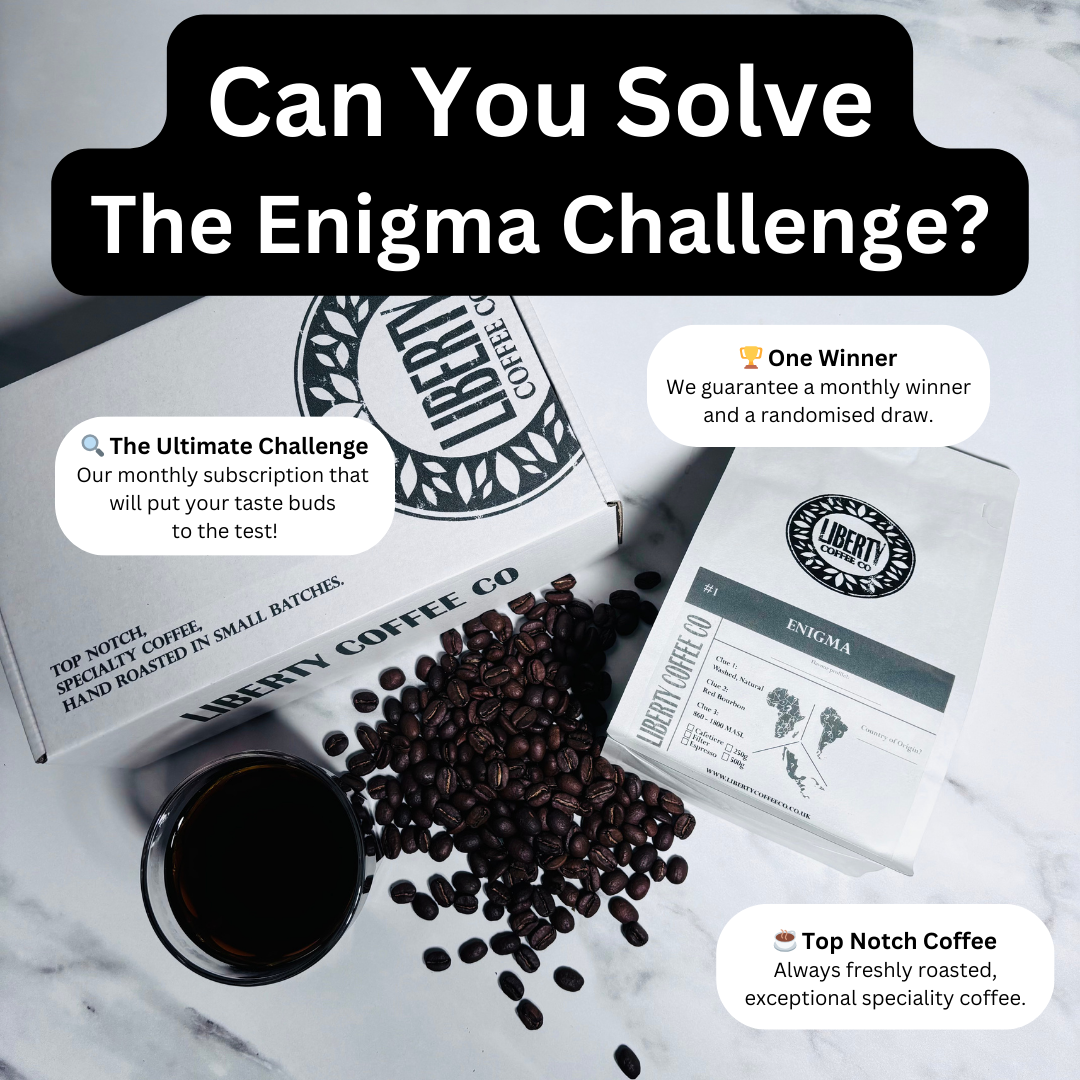 ENIGMA (Mystery Single Origin)